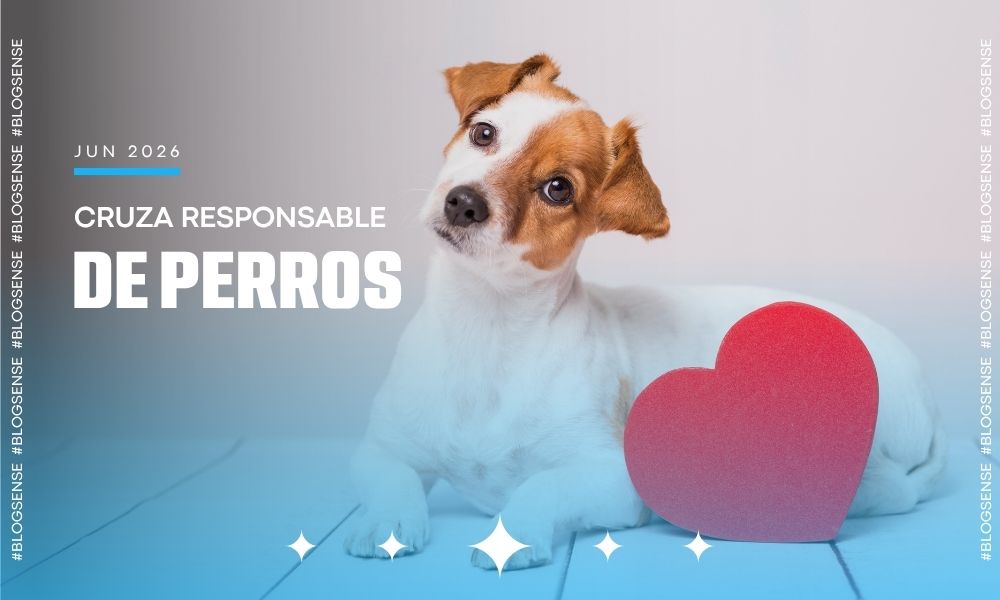 Cruza responsable de perros y qué debes considerar antes de la monta