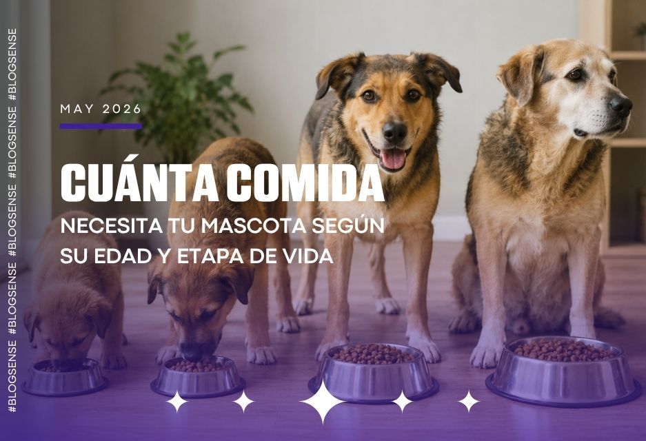 Cuánta comida necesita tu perro o gato según su edad y etapa de vida
