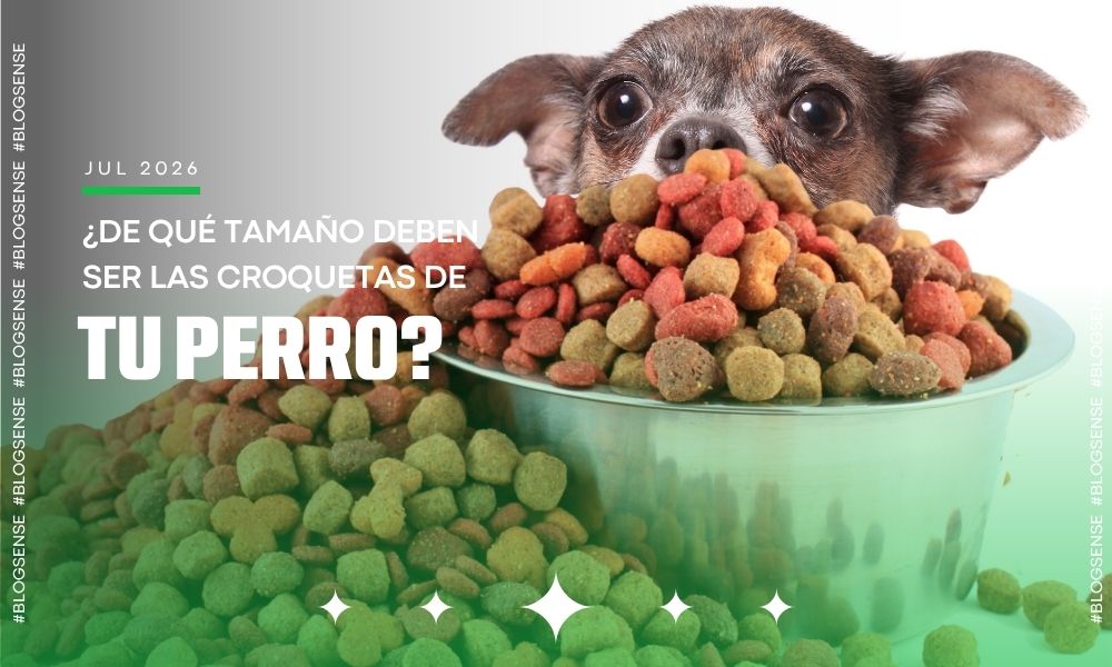 ¿De qué tamaño deben ser las croquetas de tu perro?