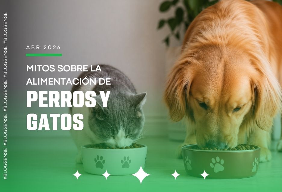 Mitos sobre la alimentación de perros y gatos que es momento de dejar atrás