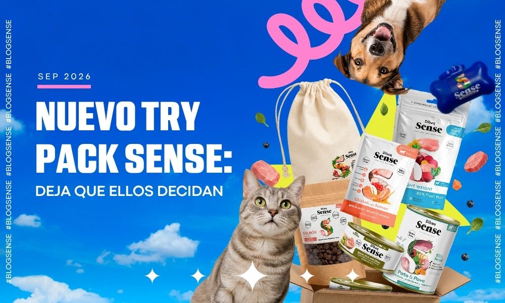 Nuevo Try Pack Sense: deja que tu perro o gato decida antes de comprar un saco grande