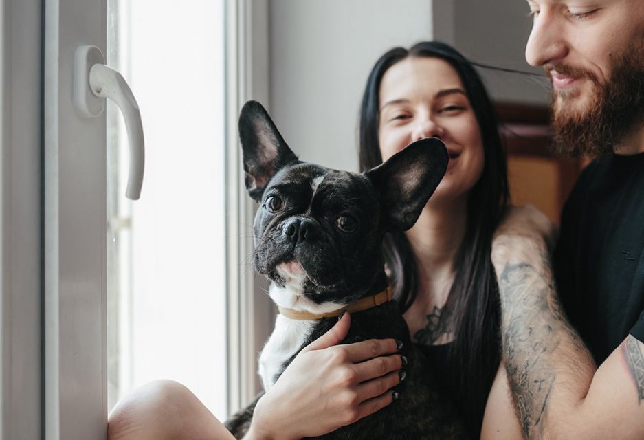 Alimentación Holística para Mascotas